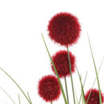 PLANTA PVC 10X10X71 POMPON 2 SURT. ROJO - Imagen 4