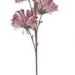 RAMA EVA 40X40X95 2 SURT. ROSA